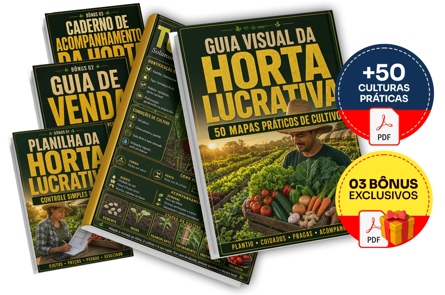 Plano Completo do Guia Visual da Horta Lucrativa