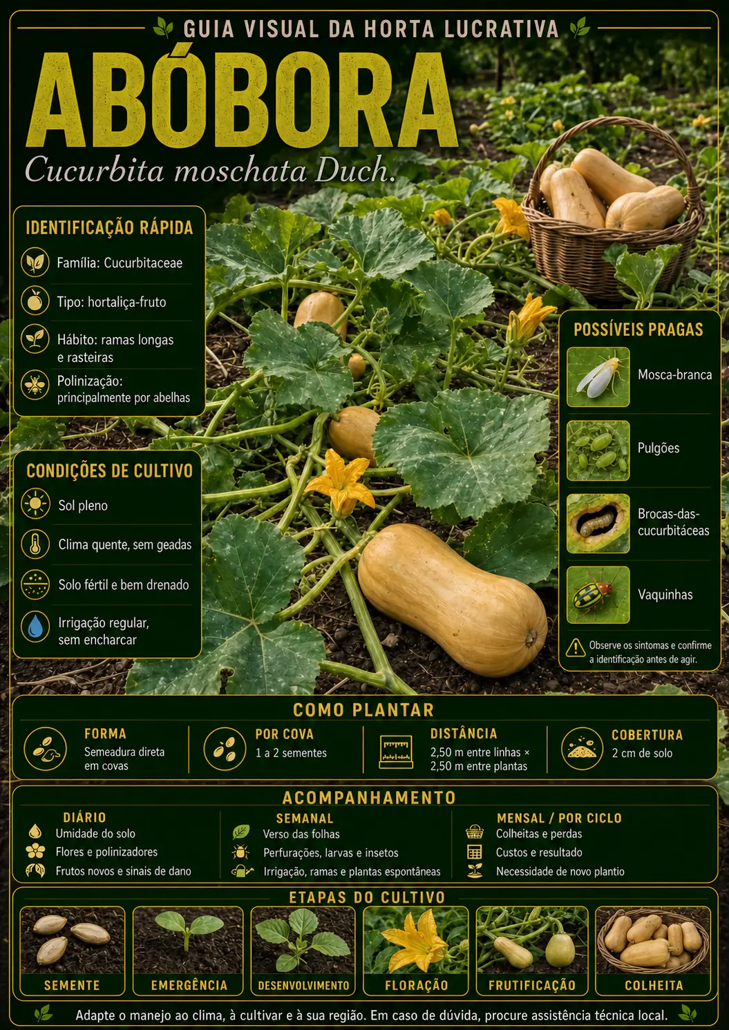 Mapa visual de cultivo — Abóbora