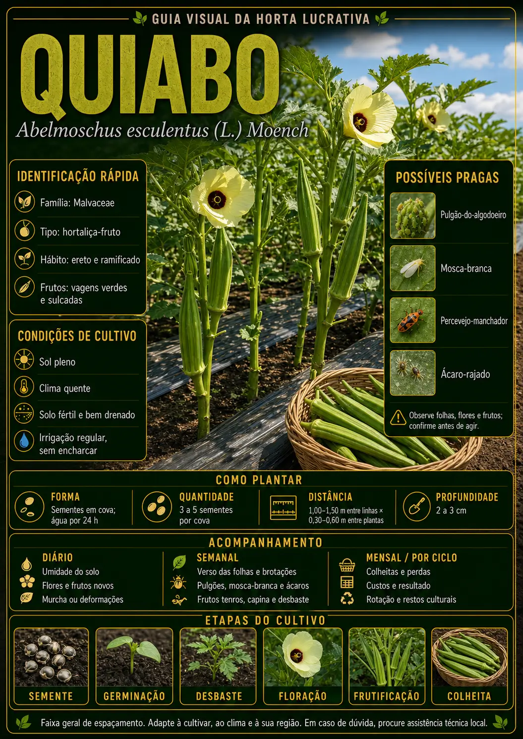 Mapa visual de cultivo — Quiabo
